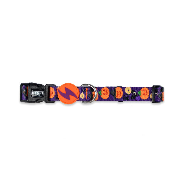 Collar de calabaza Dashi