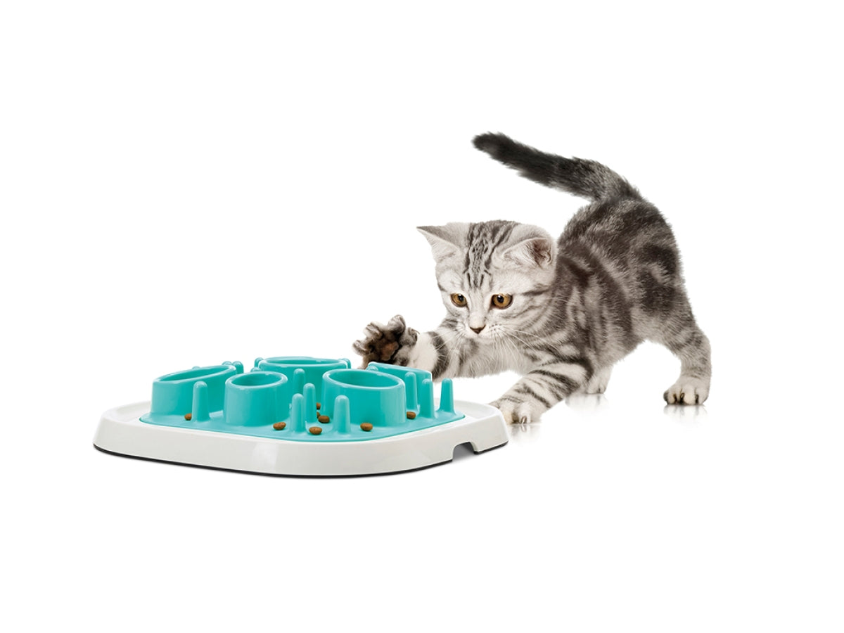Pet Enigma - Alimentador lento