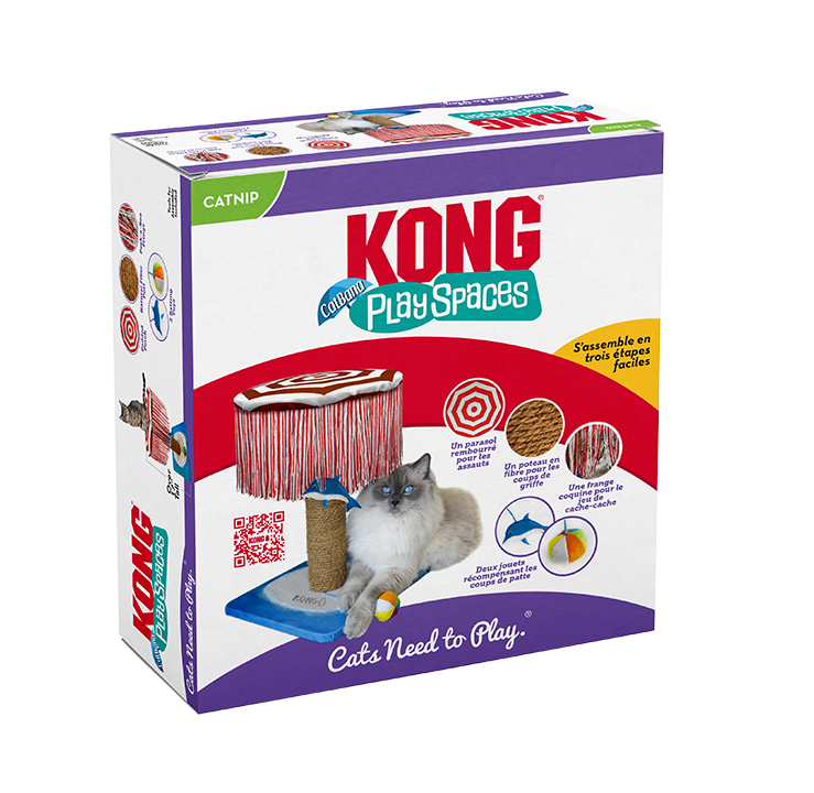 Kong PlaySpaces CATbana