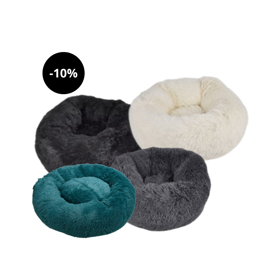 Cama esponjosa para primos