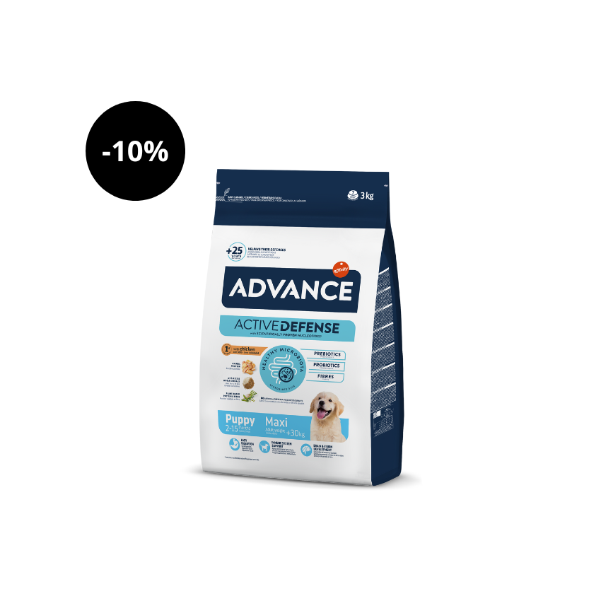 Cachorros Advance Maxi