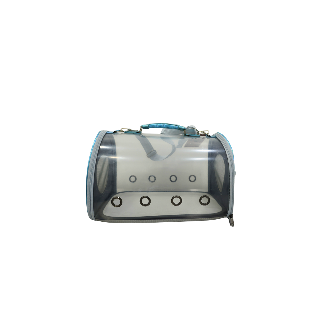 Empresa de transporte transparente y azul