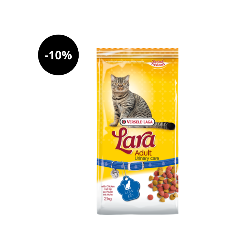 Lara Adultos Cuidados Urinários