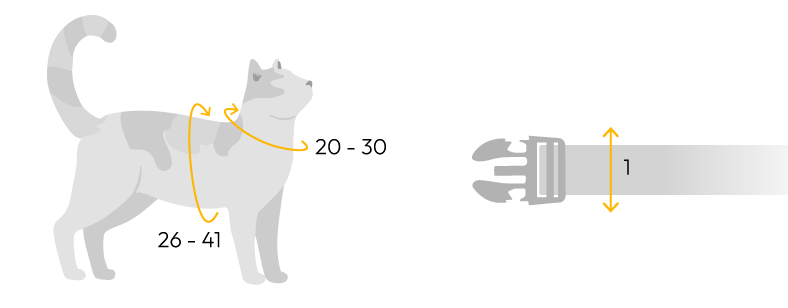 Dashi Cat Arnês + Trela Portucale