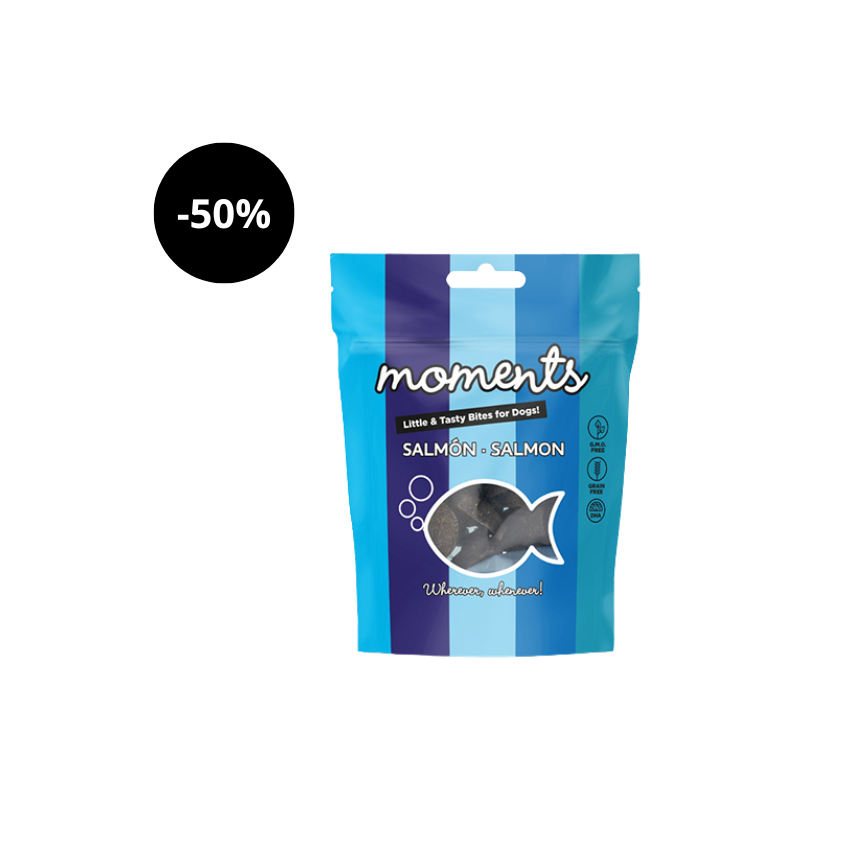 Snack Moments Dogs Salmon 60 g