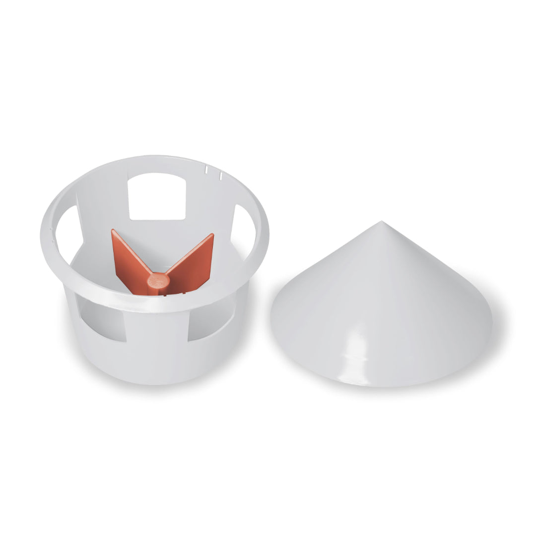 Palomas Partición GAUN