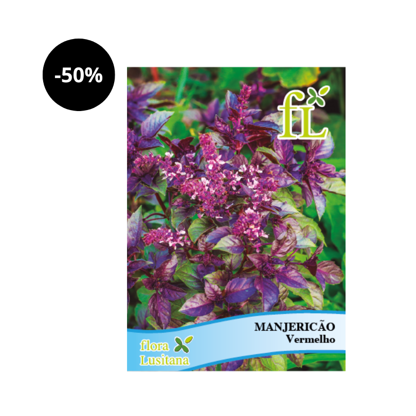 Manjericão vermelho Sementes 10g