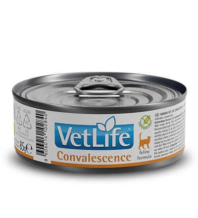 Farmina VetLife Convalescence Cat 85g