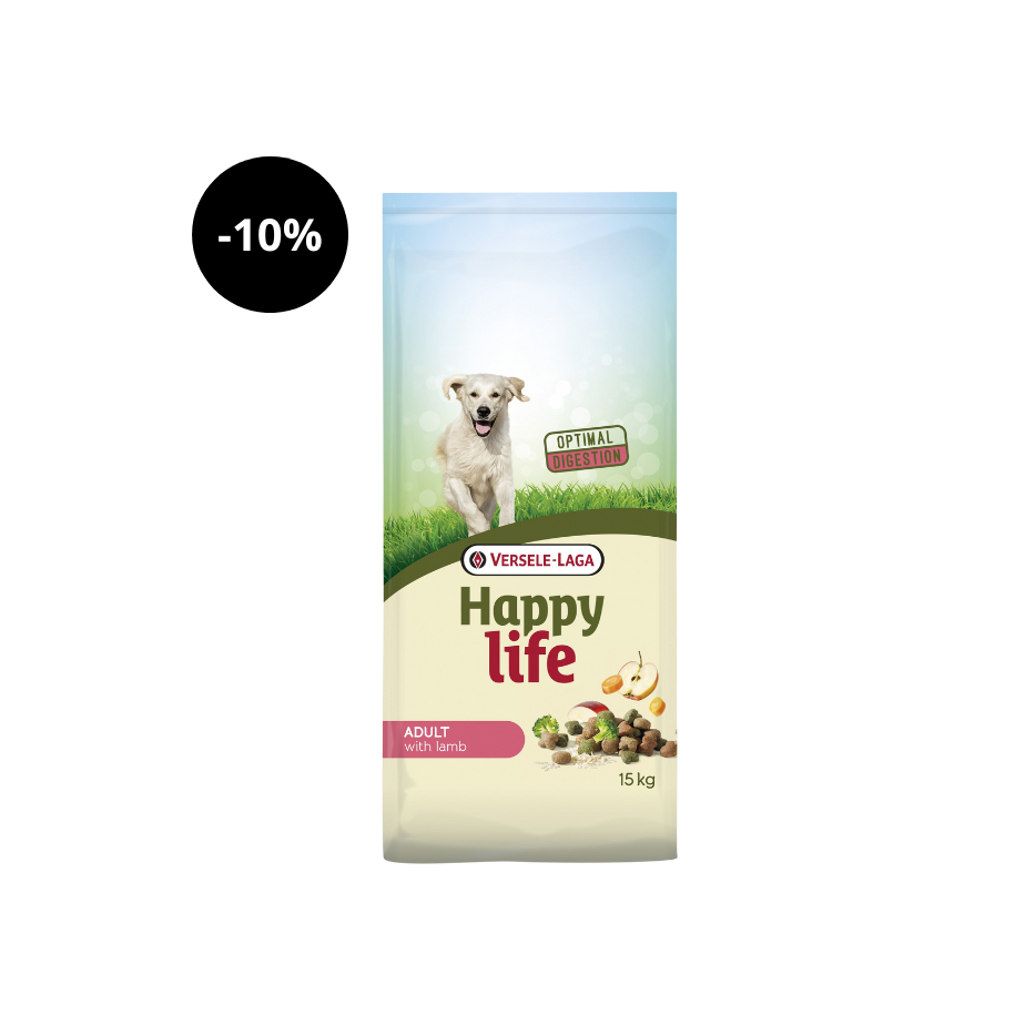 Vida feliz de adulto con cordero