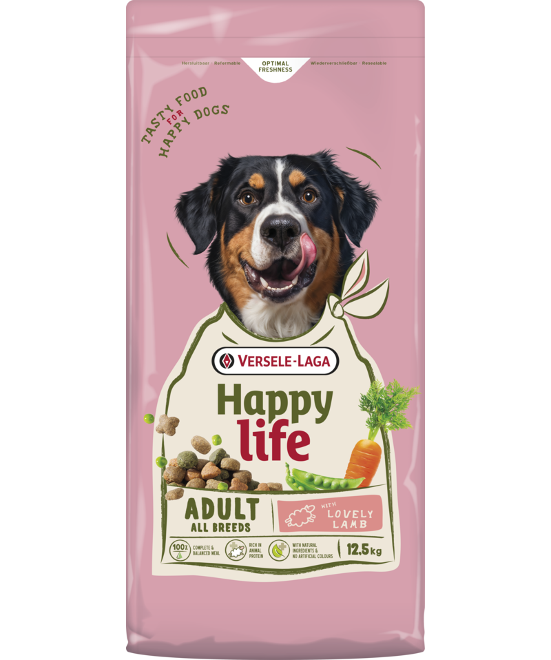 Vida feliz de adulto con cordero