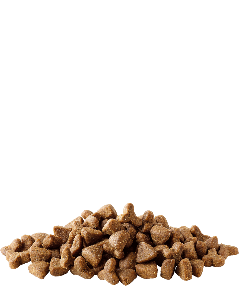 Versele laga Complete Ferret