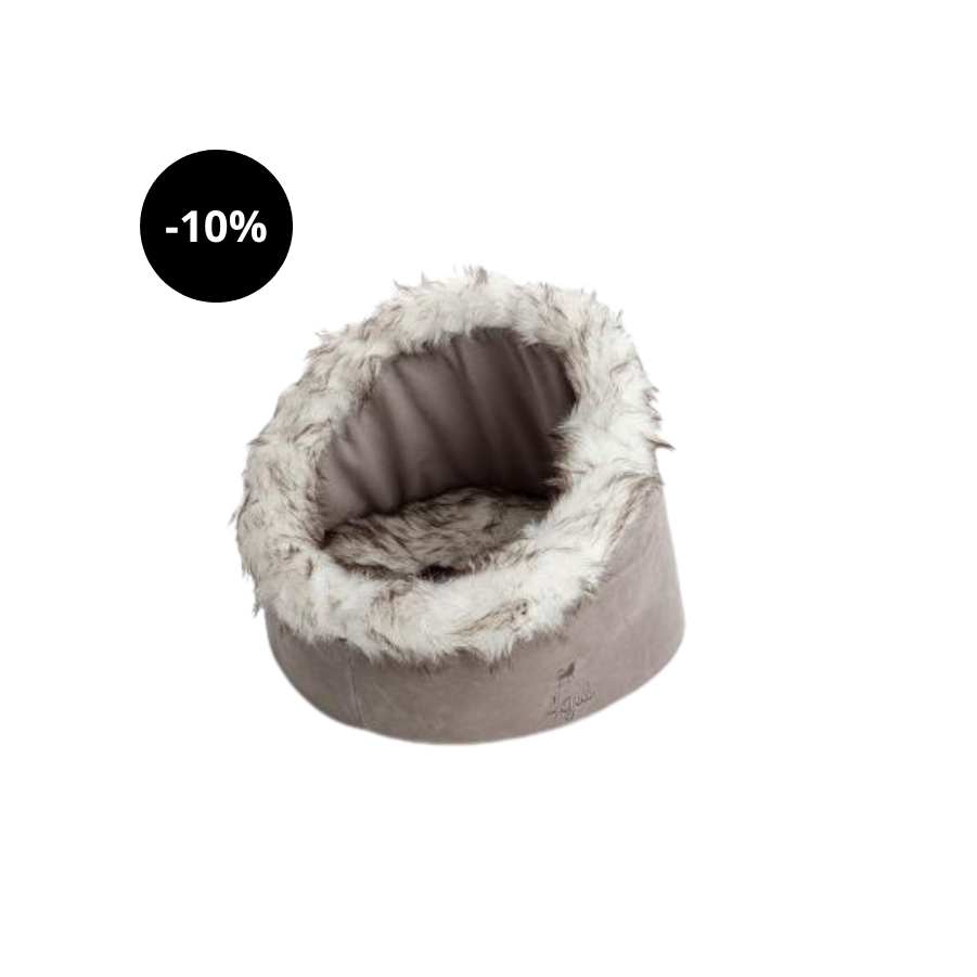 Nicho Agui Wild Igloo