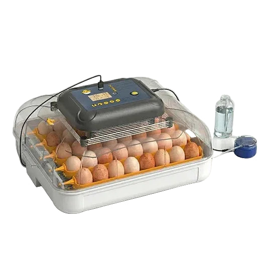 Incubadora Nexa 40 XH Humidade Automática