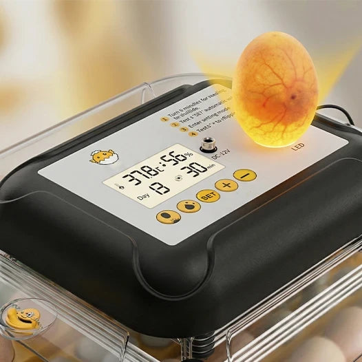 Incubadora Nexa 40 XH Humidade Automática