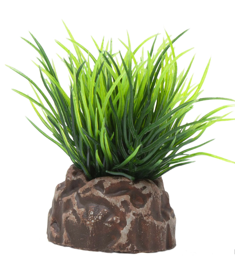 Planta MAGIC Modelo 3 unidades