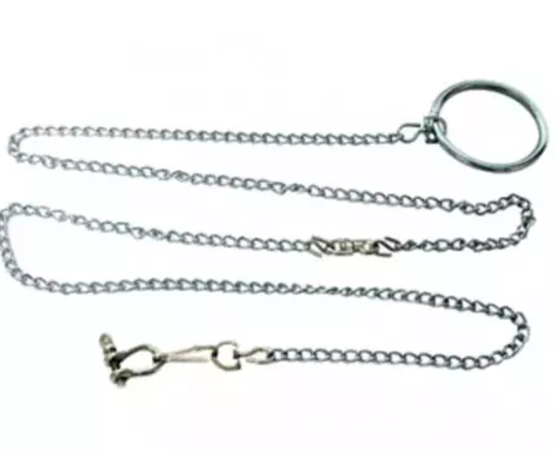 Cadena cromada para loros, 120 cm.