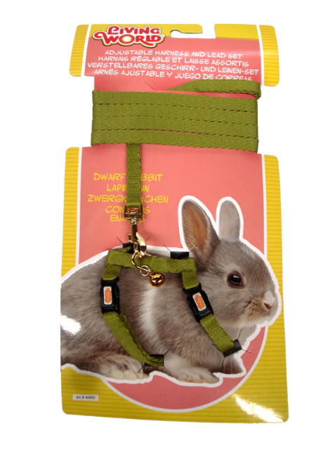 Arnés y correa verdes para conejos enanos