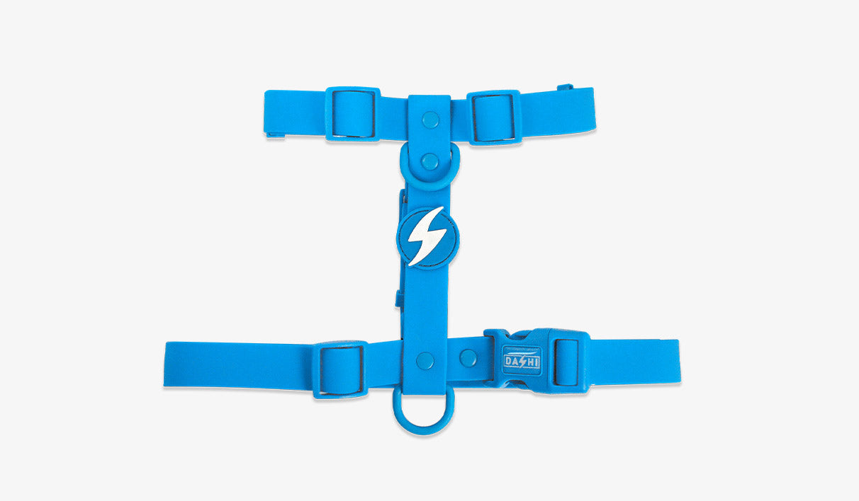Peitoral Dashi Harness ColorFlex Azul