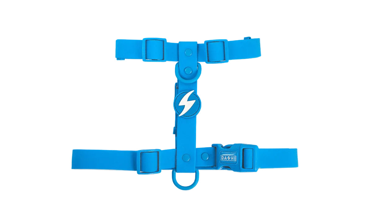 Peitoral Dashi Harness ColorFlex Azul