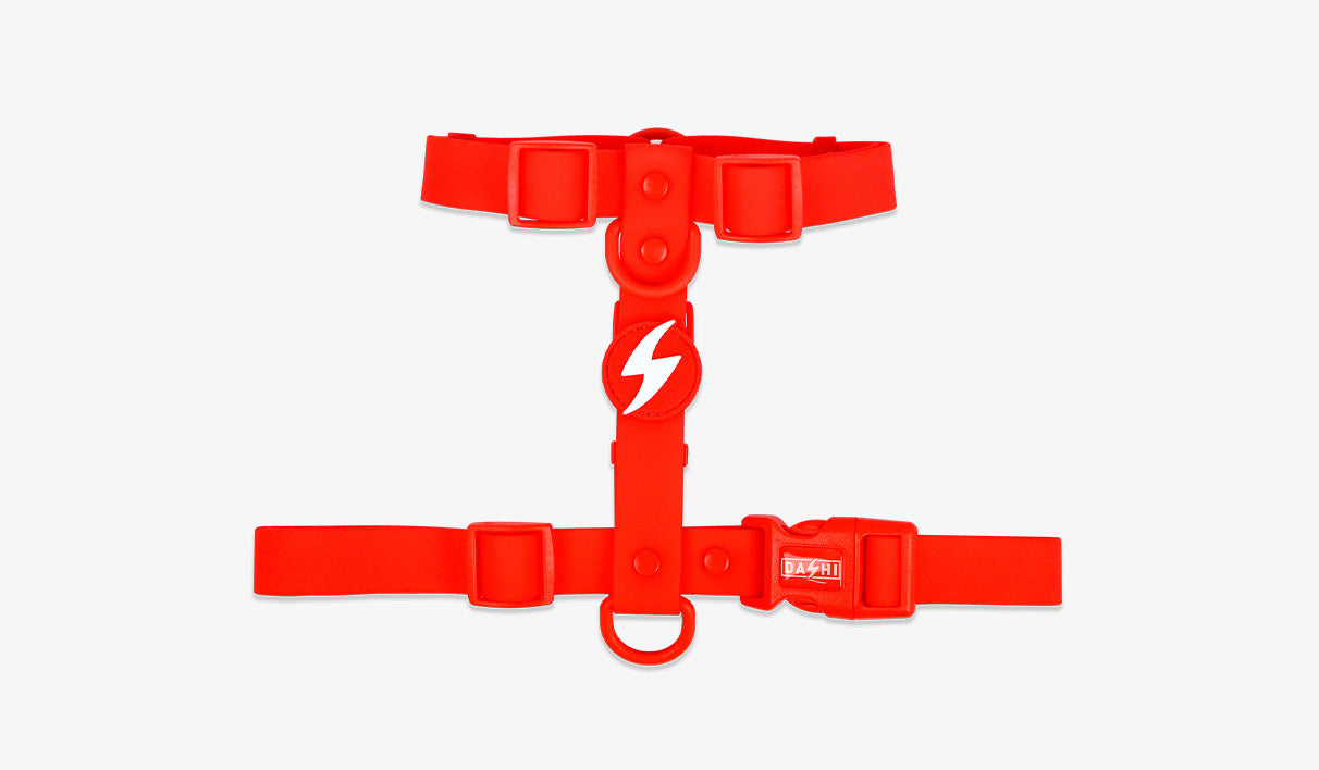 Peitoral Dashi Harness ColorFlex Vermelho