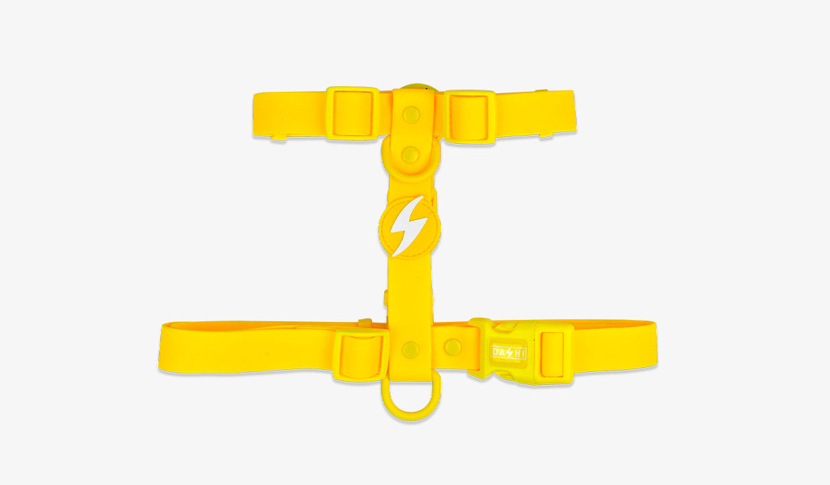 Peitoral Dashi Harness ColorFlex Amarela
