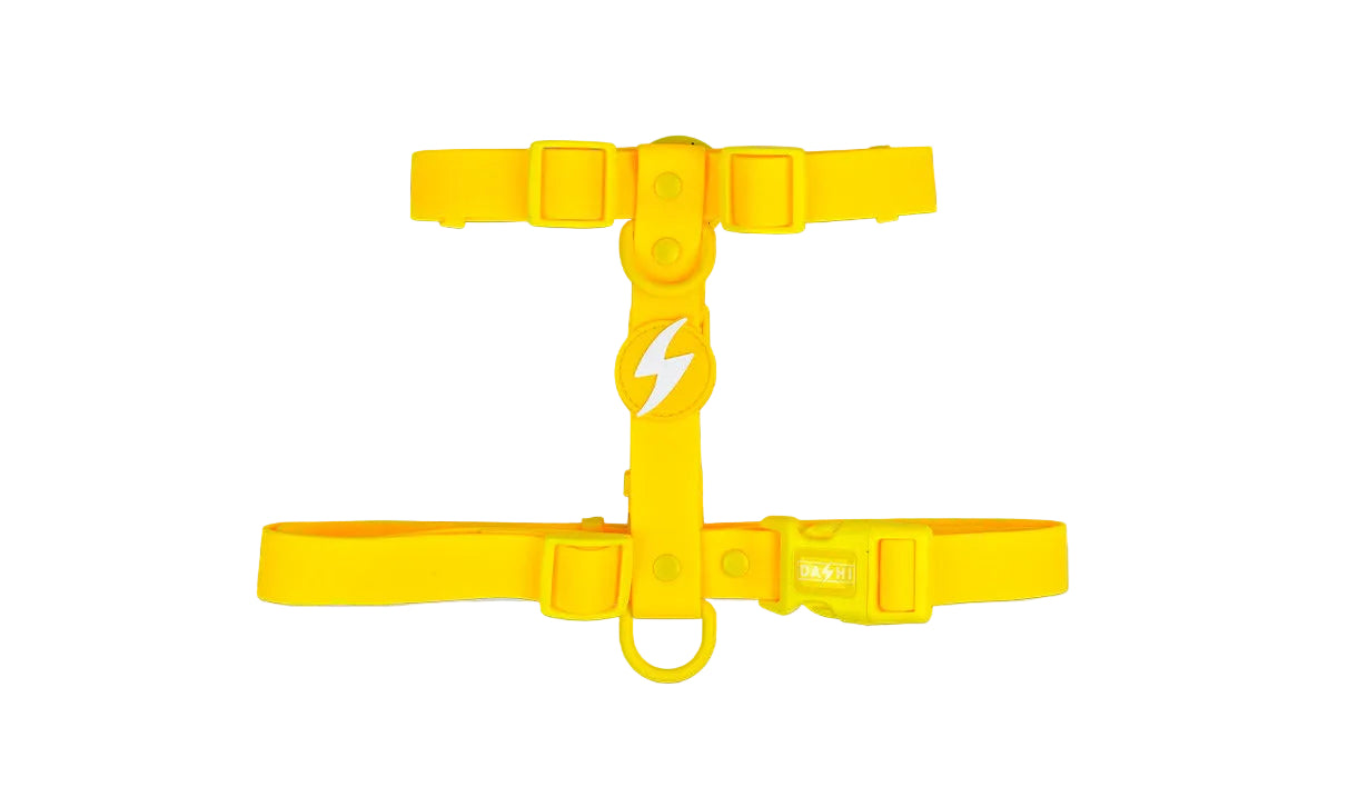 Peitoral Dashi Harness ColorFlex Amarela