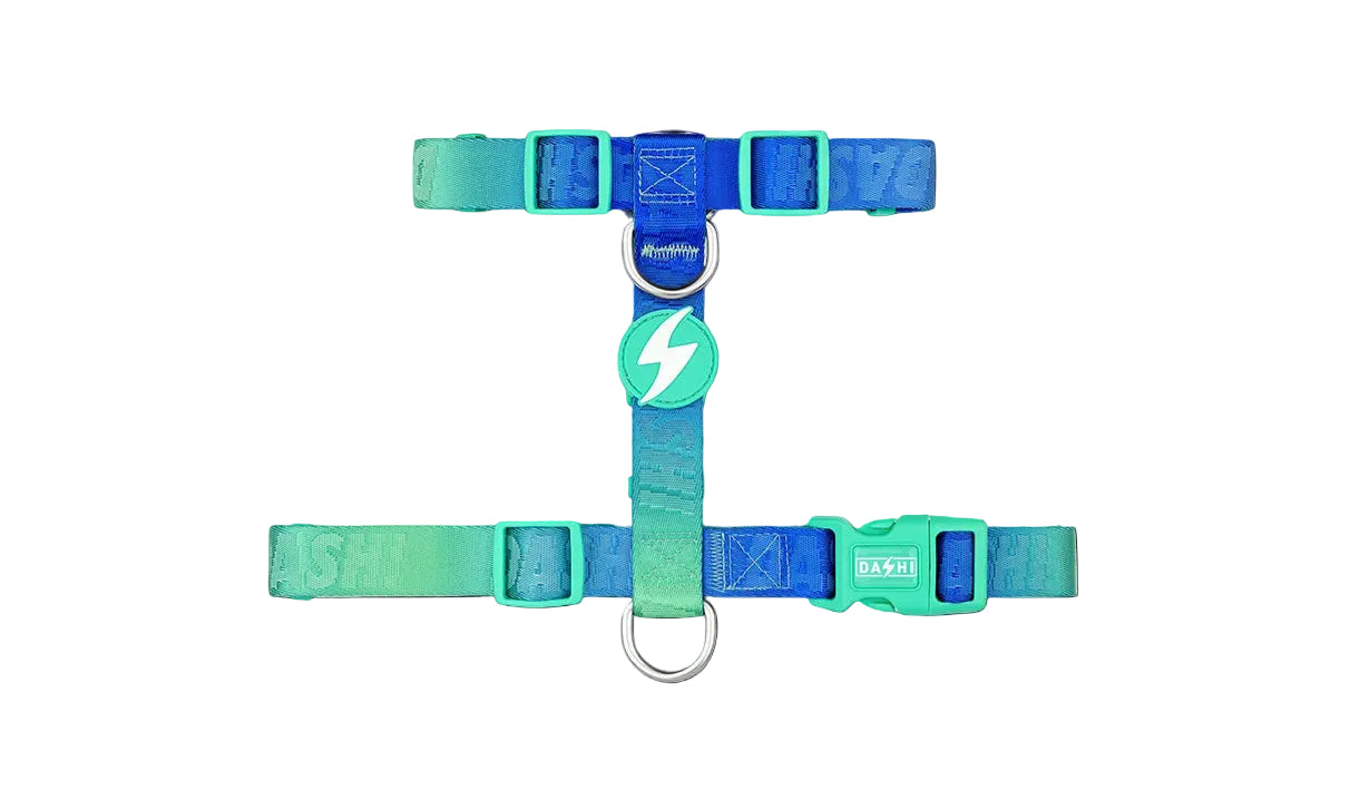 Peitoral Dashi Harness Lumix Borealis