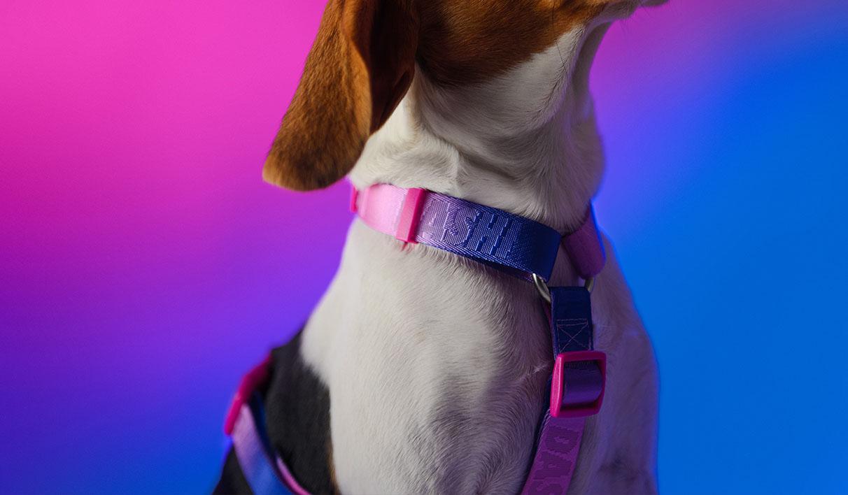 Peitoral Dashi Harness Lumix Haze