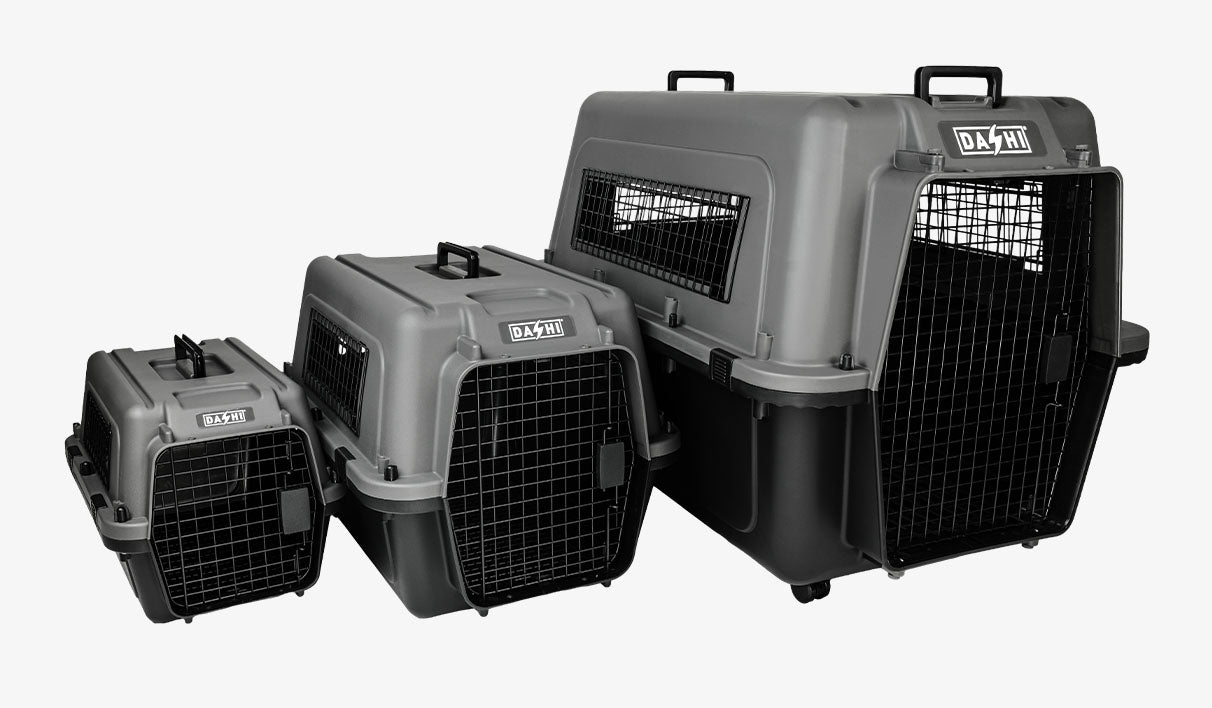Dashi Travel Pet Carrier