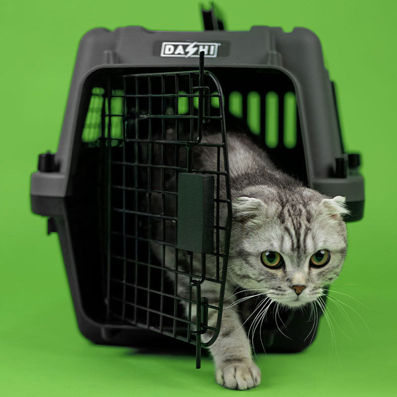 Dashi Travel Pet Carrier
