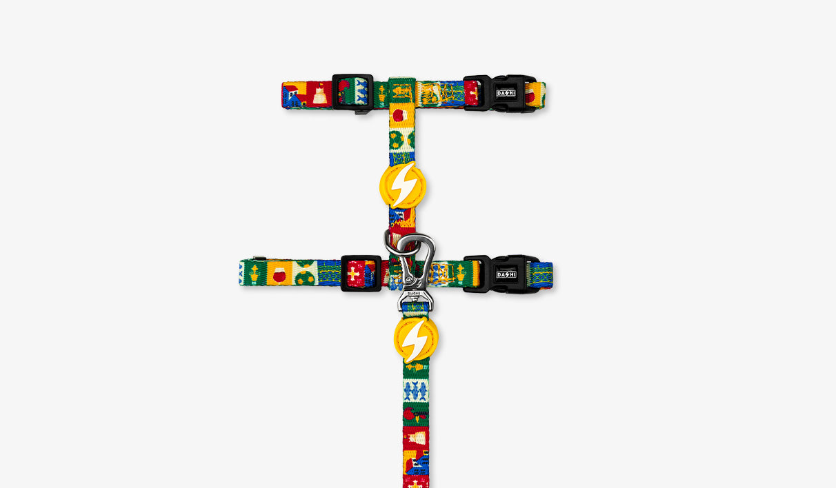 Dashi Cat Arnês + Trela Portucale