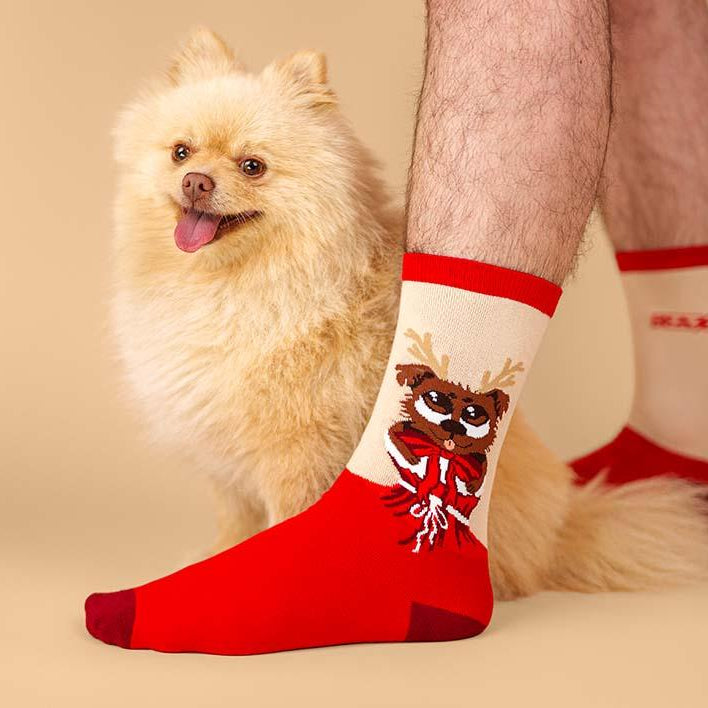 Dashi Christmas Socks Dog