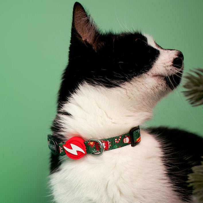 Dashi Noel Collar Cat