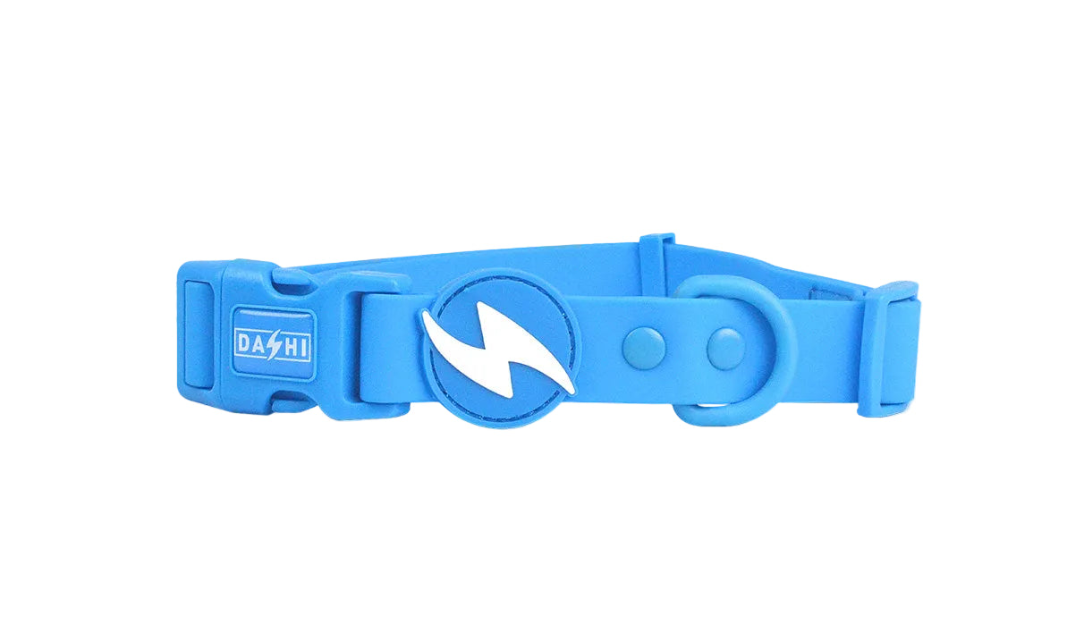 Coleira Dashi Colorflex Azul