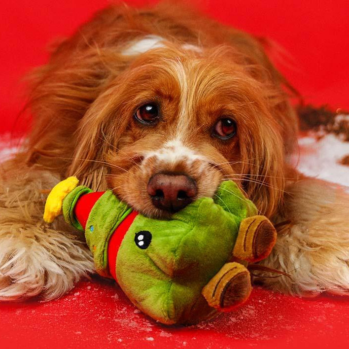 Dashi Xmas Plush Toy Trezzy