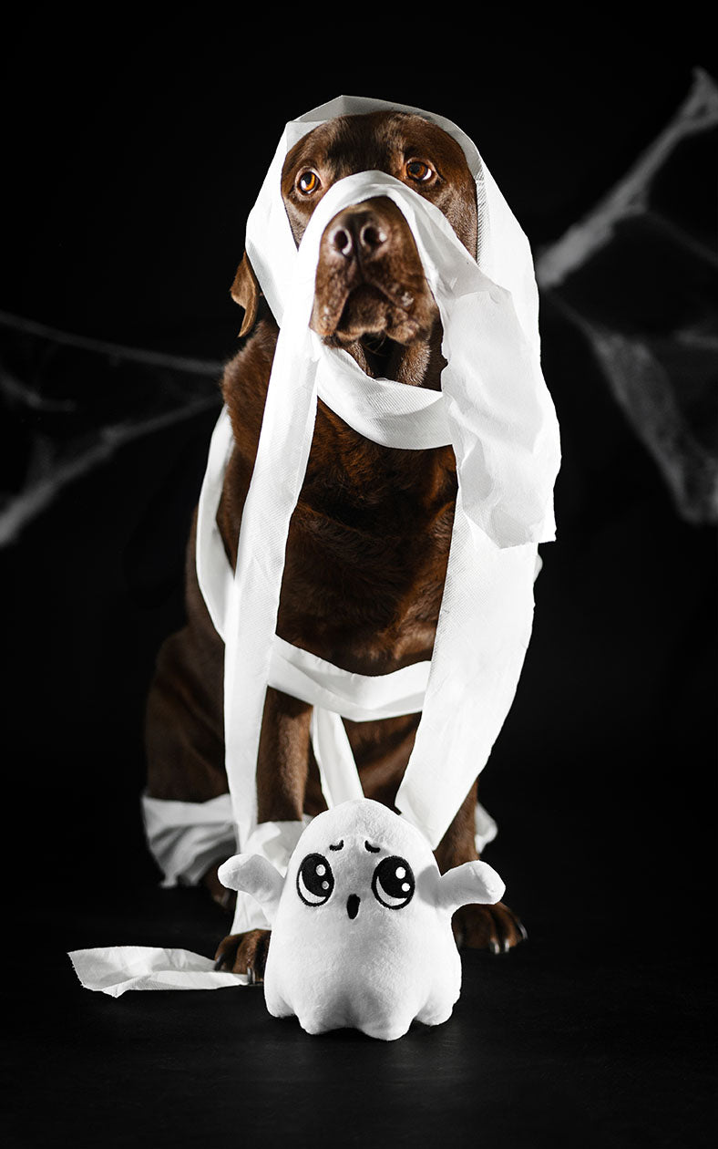 Peluche Dashi The Spookies Boo