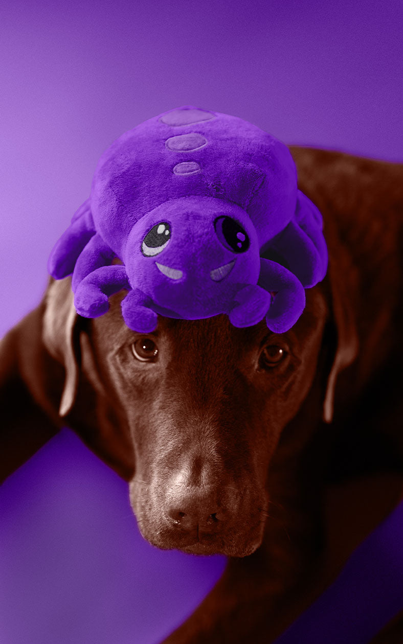 Peluche Dashi The Spookies Fuzzy