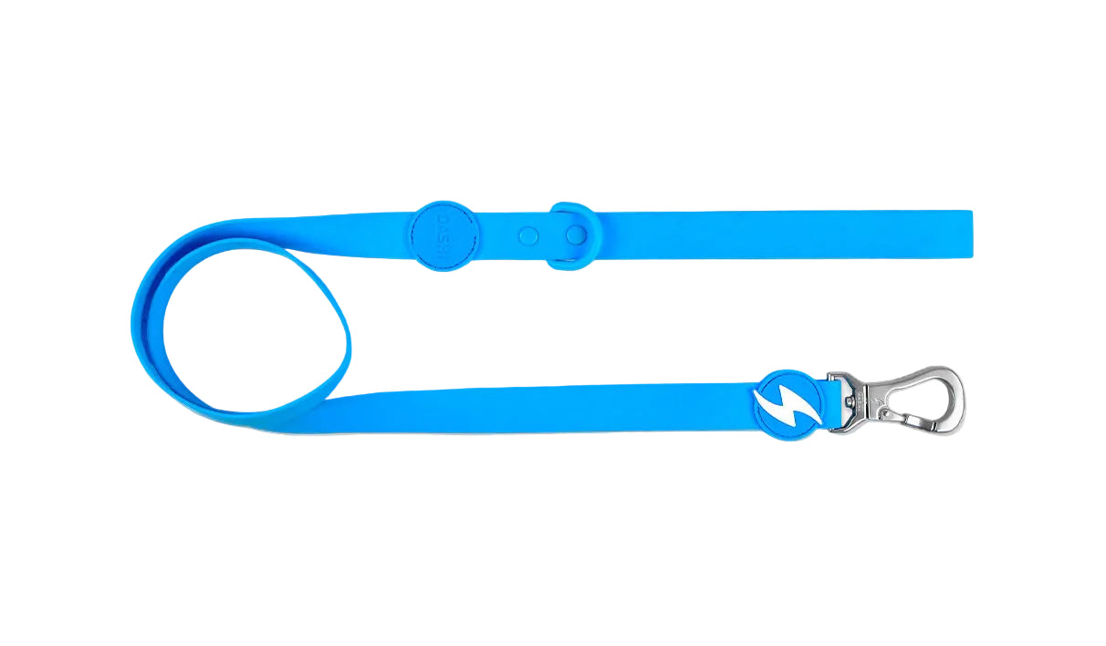 Trela Dashi Colorflex Azul