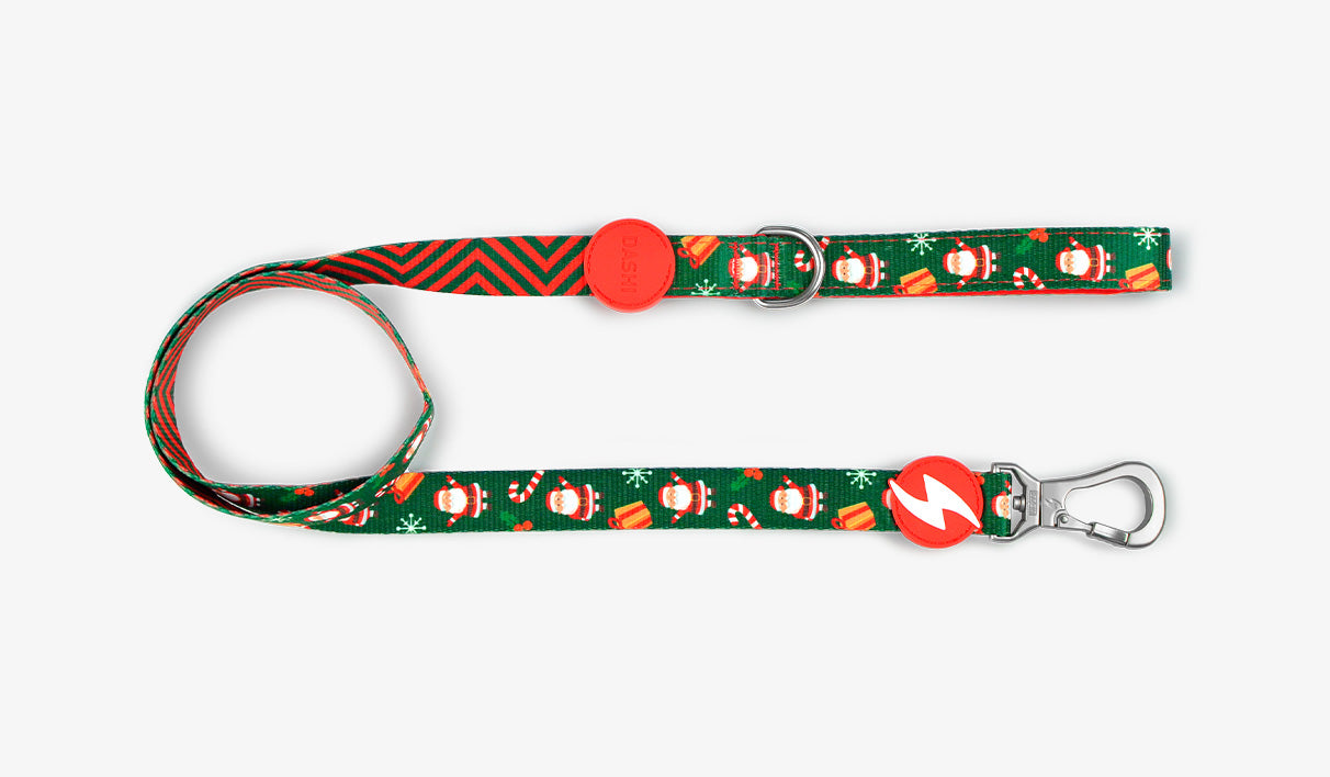 Dashi Noel Leash