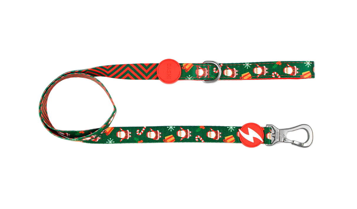 Dashi Noel Leash