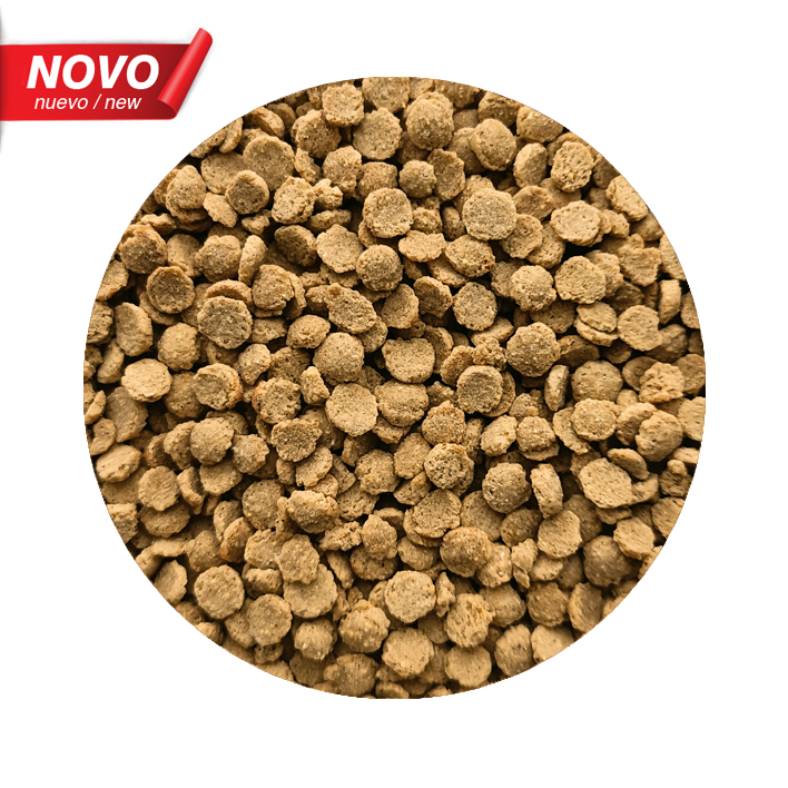 Pet Cup Extrudido para Papagaios