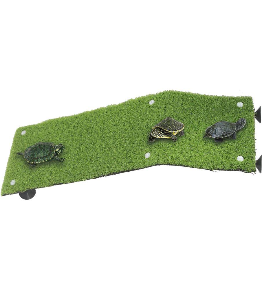 Rampa para tortugas