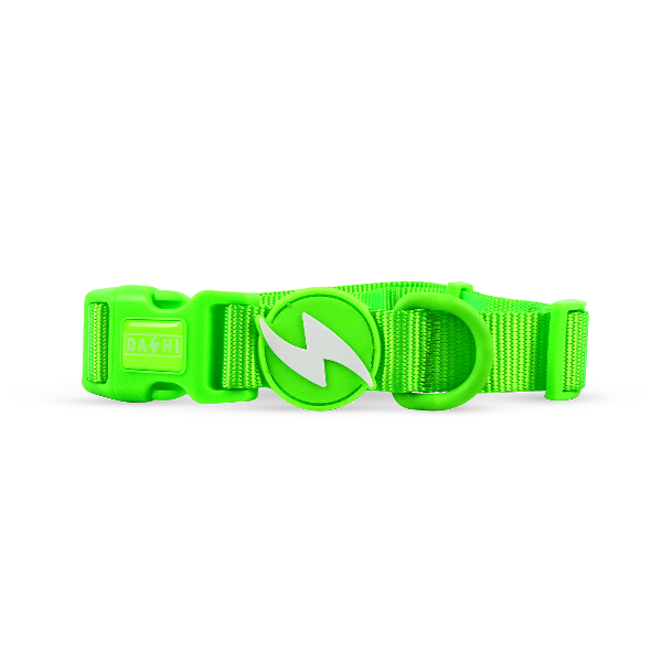 Coleiras Dashi Neon