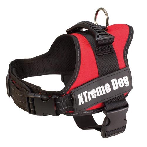Arnês Xtreme Dog