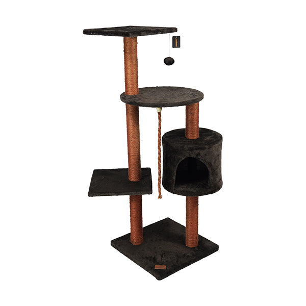 Poste rascador Pawppin para American Shorthair