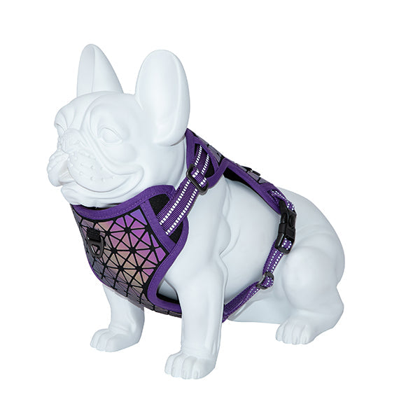 Arnés de pecho Boreal Freedog