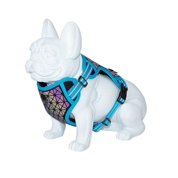 Peitoral Boreal Freedog