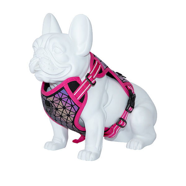 Arnés de pecho Boreal Freedog