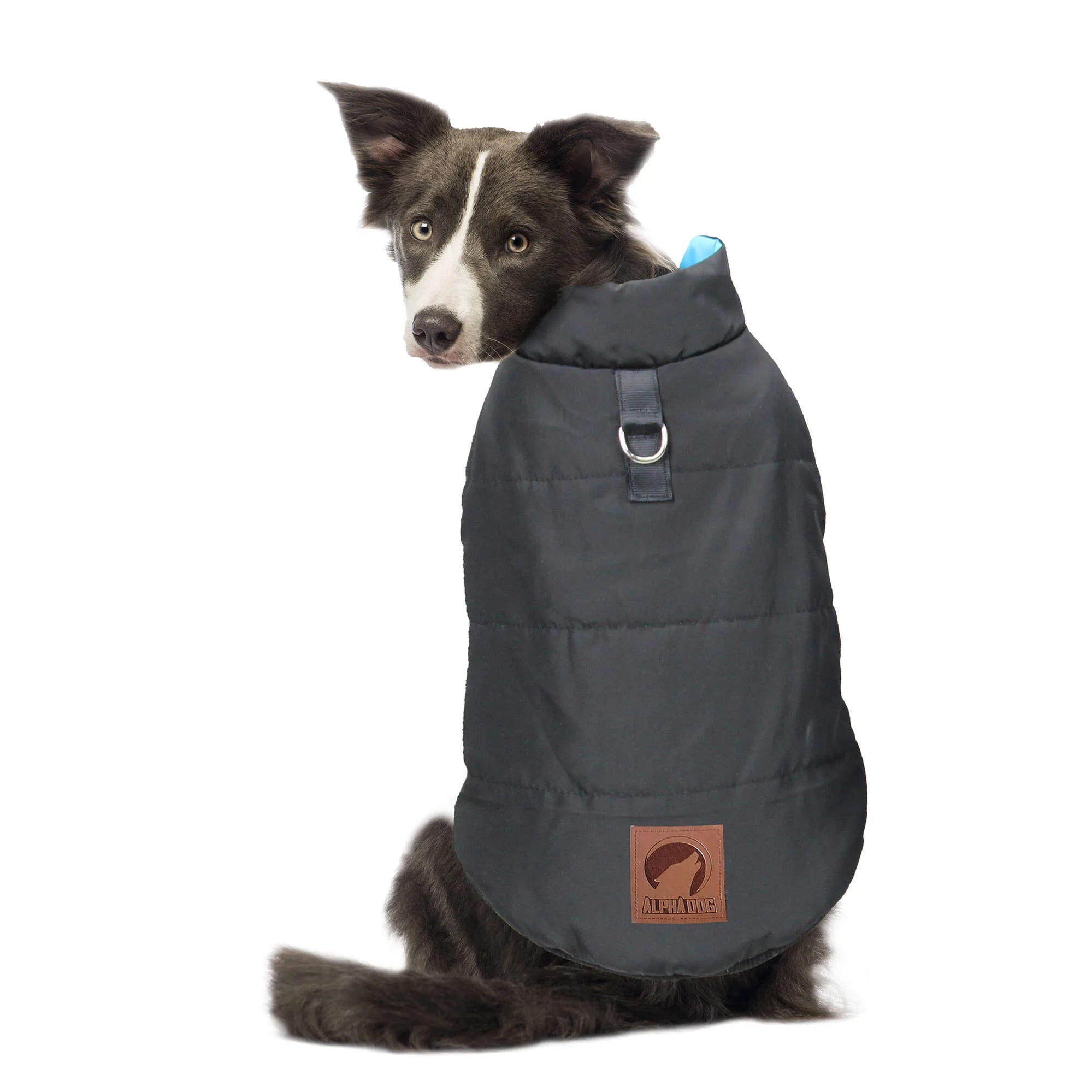 Anorak reversible turquesa/negro