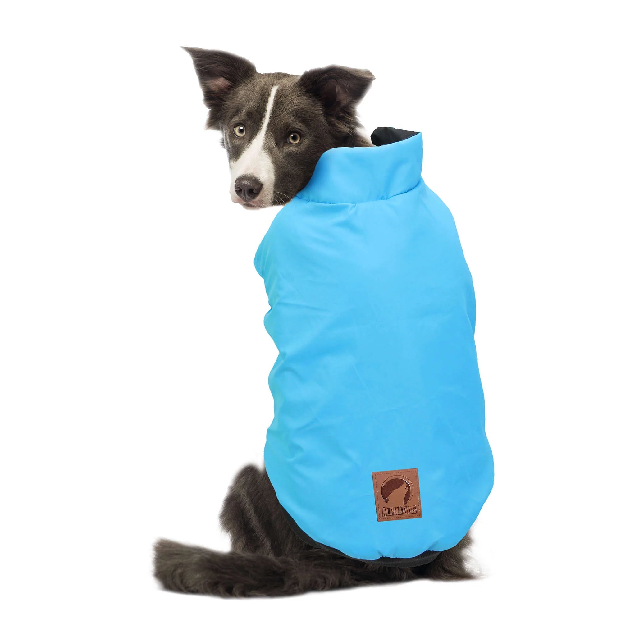 Anorak reversible turquesa/negro